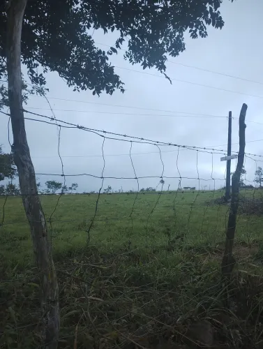Vendo lotes para chácara em triunfo pé, no sítio santa Teresa zona rural.a três Km da c.