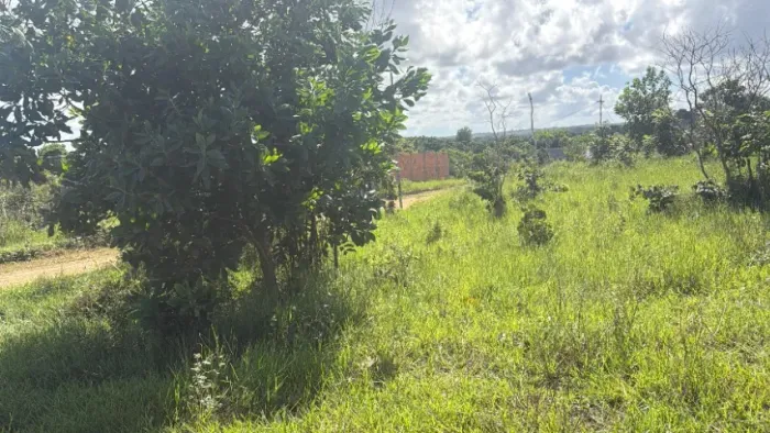 Vendo lotes em Porto de Sauípe - 300m² cada - D4 e D5