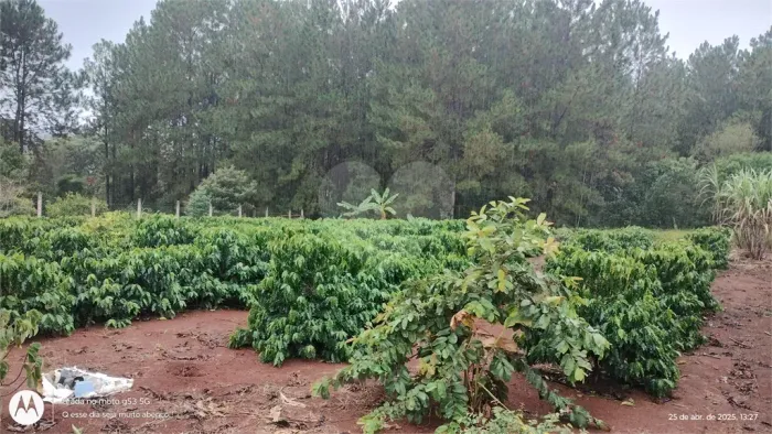 Chácara à venda em Campo Grande, Pilar do Sul - SP