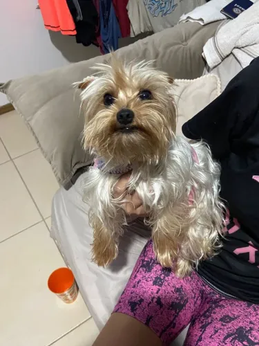 Procura-se namorado!!