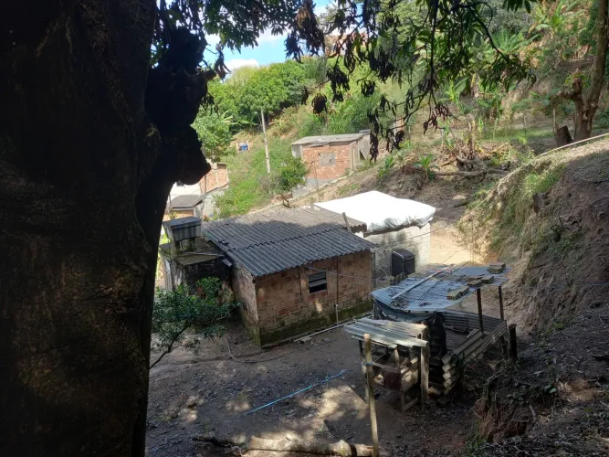 Lindo terreno com algumas pe de frutas 