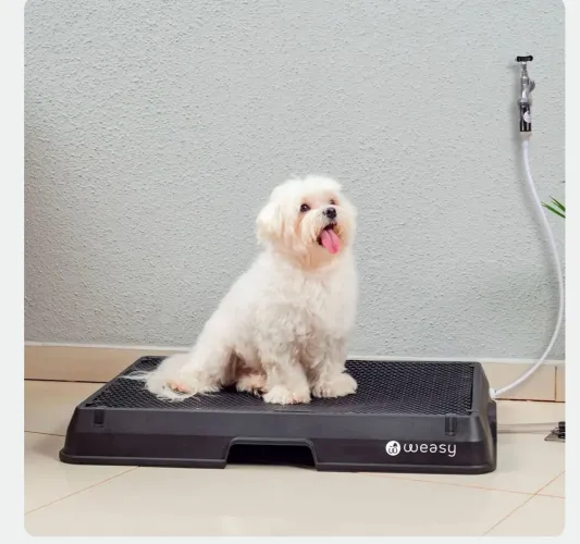 Weasy tapete higiênico para cachorro