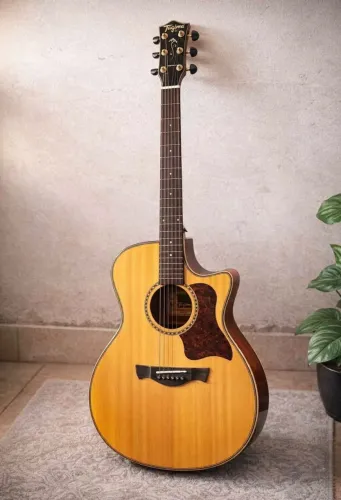 Violão ELÉTRICO Tagima
