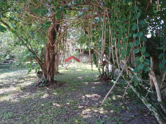 Lote em Rua Araçá - Martim de Sá - Caraguatatuba/SP