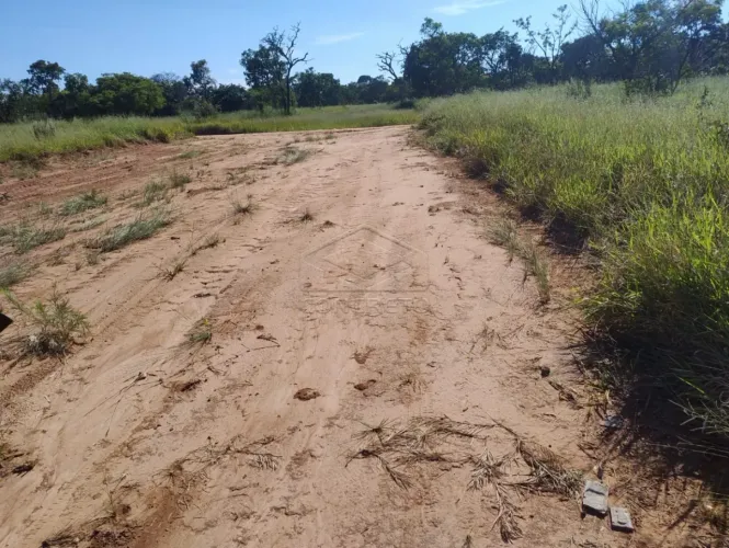 Terreno Área em Bauru
