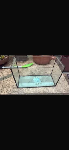 AQUÁRIO 18 LITROS