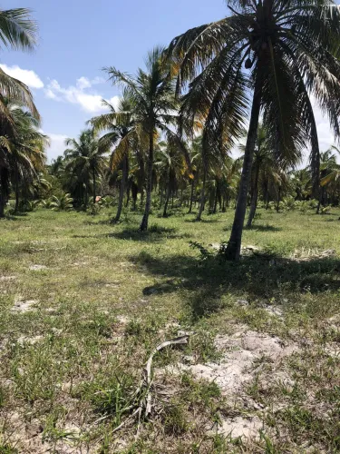 Área de terra ideal para loteamento, vista mar na porção dos fundos