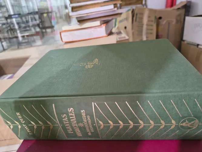 Plantas medicinales