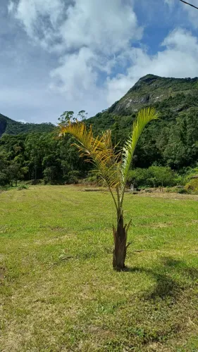 Terreno Friburgo