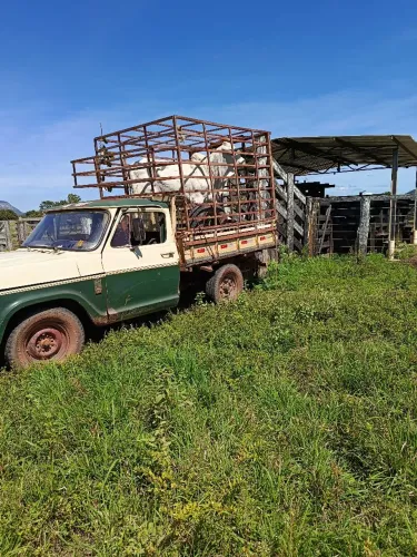 Chevrolet A-10 2.5/4.1 2022