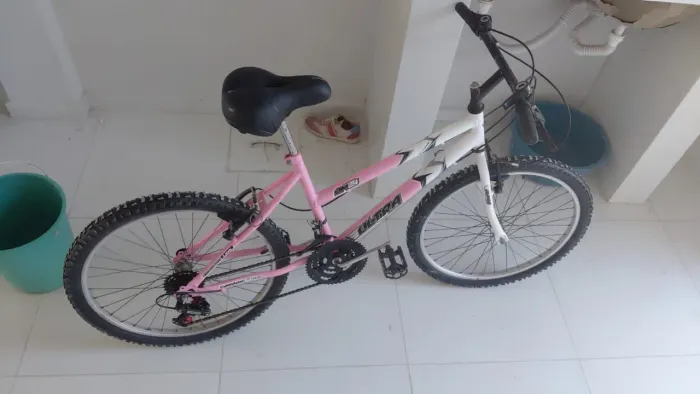 Bicicleta Aro 24 Feminina