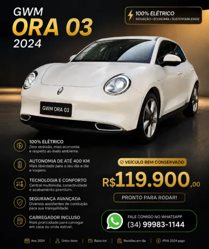 GWM Ora 03 Skin (elétrico) 2024