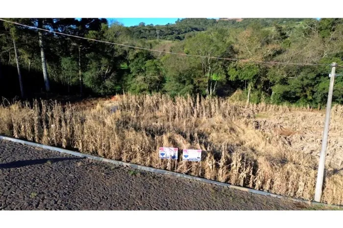 Terreno à venda no Centro de Barão de Cotegipe