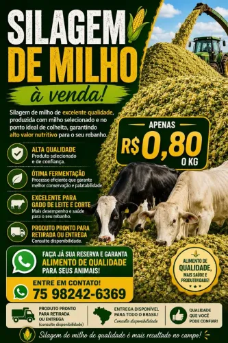 Silagem de Milho