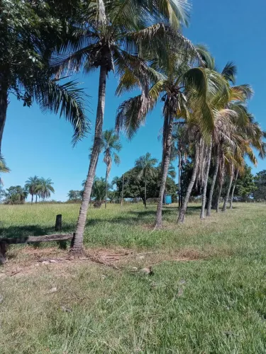 CHACARA GUAPÓ-GO