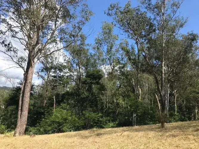 EXCELENTE TERRENO À VENDA NO BAIRRO COLONIA, EM BARRA MANSA!!