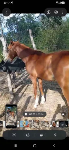 Vendo poudo 