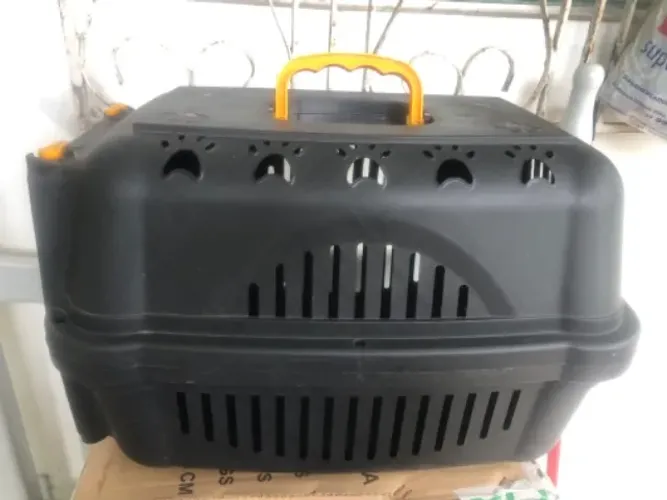 Caixa de transporte para cães e gatos