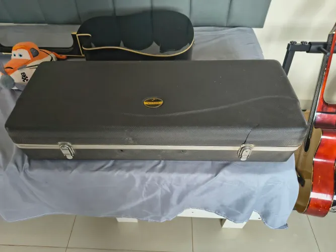 Case sax tenor 