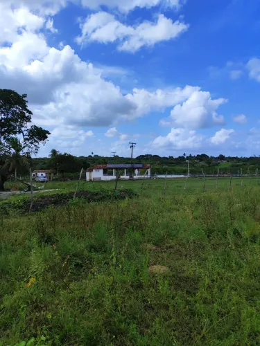 fazenda com 40 hectares em vera cruz-RN