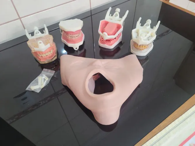 Manequins para odontologia Dental Art com molde em silicone