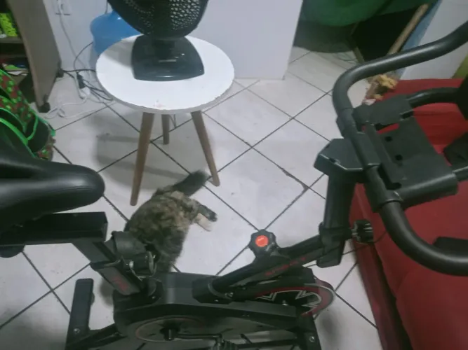 Vendo