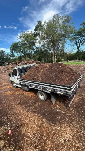 Adubo , poda triturada