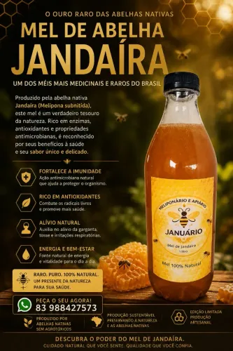 Mel de abelha jandaíra
