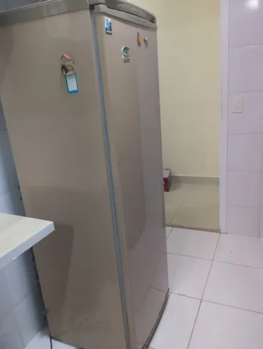 Freezer Vertical Eletrolux