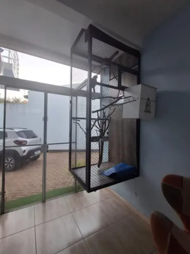 Viveiro Papagaio