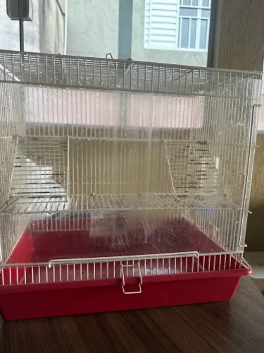 Gaiola rato twister pequena 
