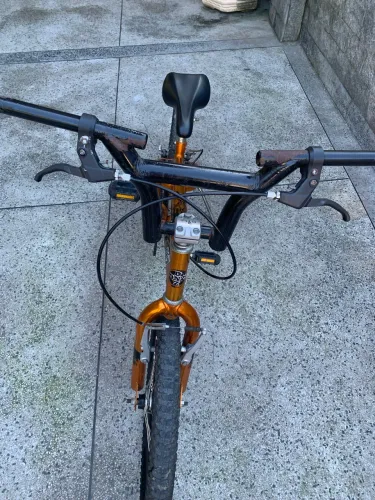 Bike DNZ freestyle Aro 20(excelente estado)