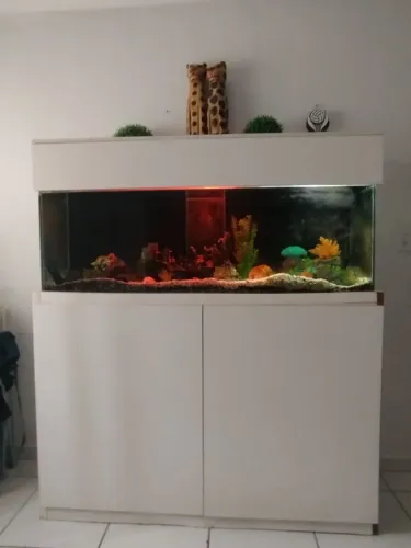 Vendo Aquário Completo