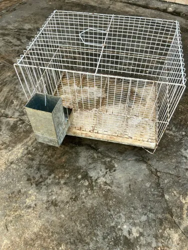 Vendo gaiola de porquinho da índia 