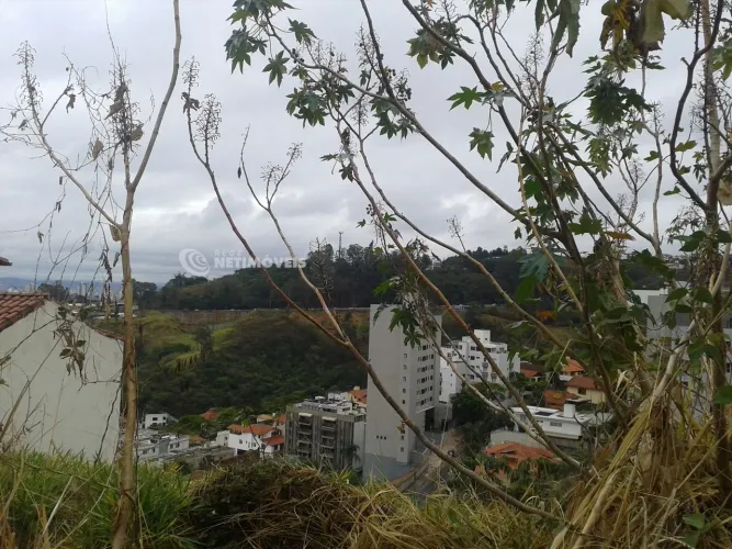 Venda Lote-Área-Terreno Santa Lúcia Belo Horizonte