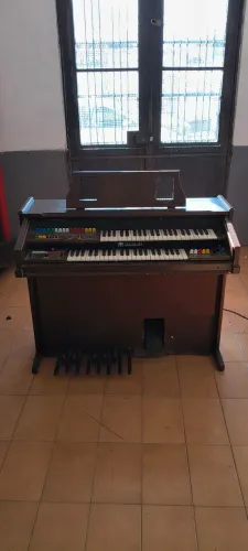 Órgão eletrônico