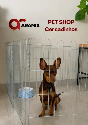 Cercadinho pets