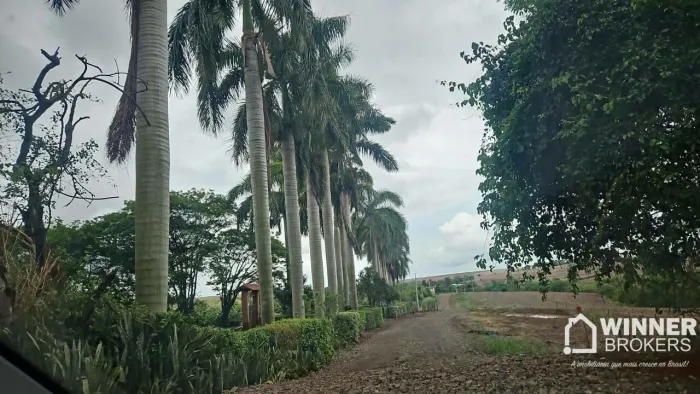 Chácara com 1 dormitório à venda, 1000 m² por R$ 180.000,00 - Jardim São Domingos - Maring