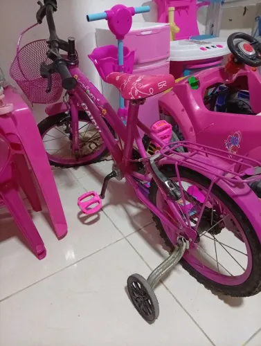 Bicicleta Infantil 
