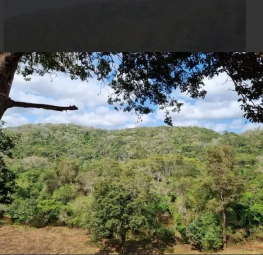 Vendo ou Troco Terreno na Fazenda do Condado, Grotão