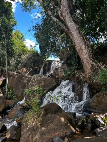 Fazenda com 6 quartos à Venda, 107000 m² em Ibicuí/BA