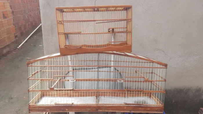 2 gaiola 