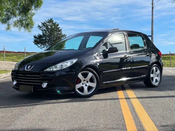 Peugeot 307 Soleil/ Presence 1.6/1.6 Flex 16V 5P 2009