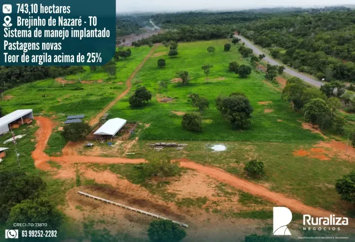 Fazenda com 153,5 Alqueires | Área Aberta | Argila acima de 25% | Estrutura Completa para
