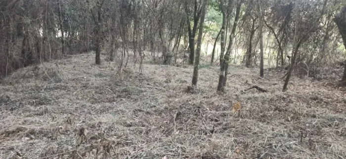 Oportunidade em Moeda-MG