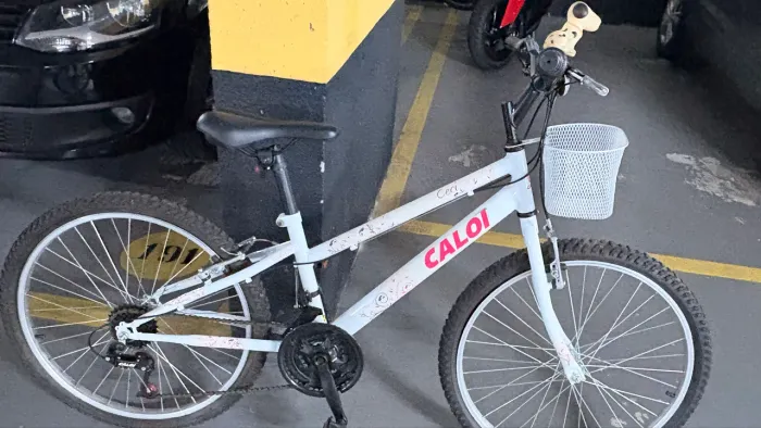 Caloi Ceci aro 24