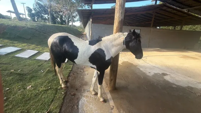 Vende-se 