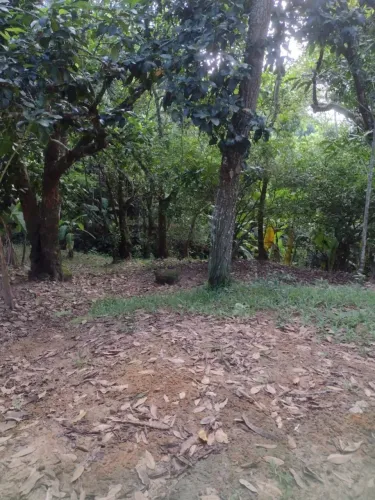 Sítio à Venda - Seu Lugar de Descanso e Lazer