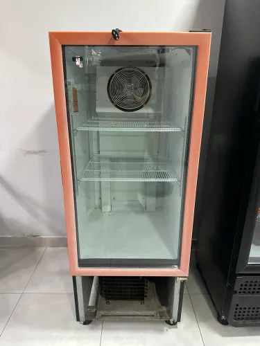 Expositora 220v