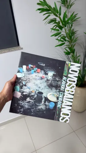 Disco de vinil LP Novos Baianos - Acabou Chorare - Polysom (2013)